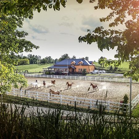 Hotel Horse Riding - Jezdecky Areal Tršice 外观 照片