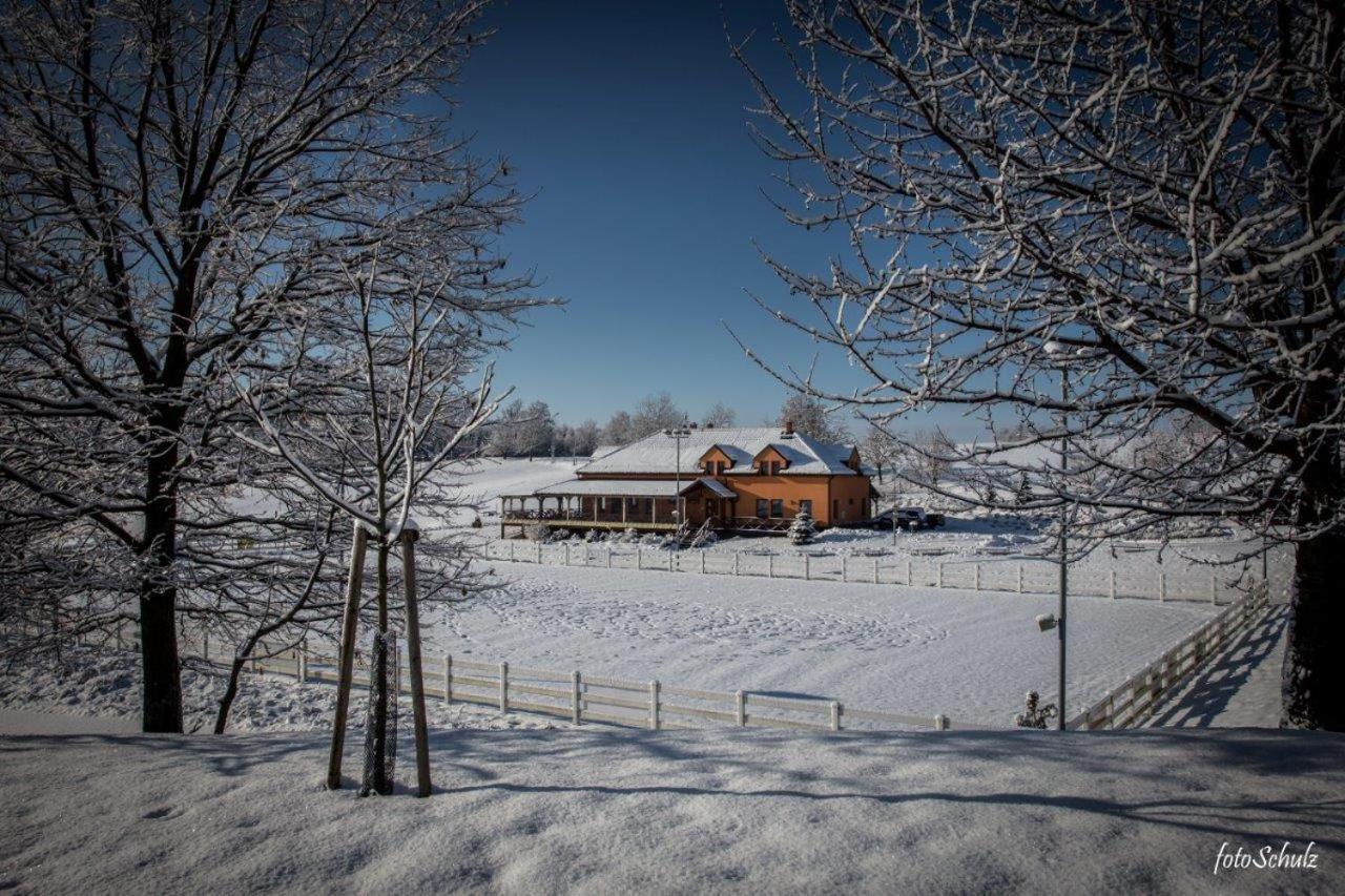 Hotel Horse Riding - Jezdecky Areal Tršice 外观 照片