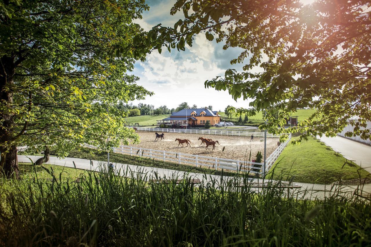 Hotel Horse Riding - Jezdecky Areal Tršice 外观 照片