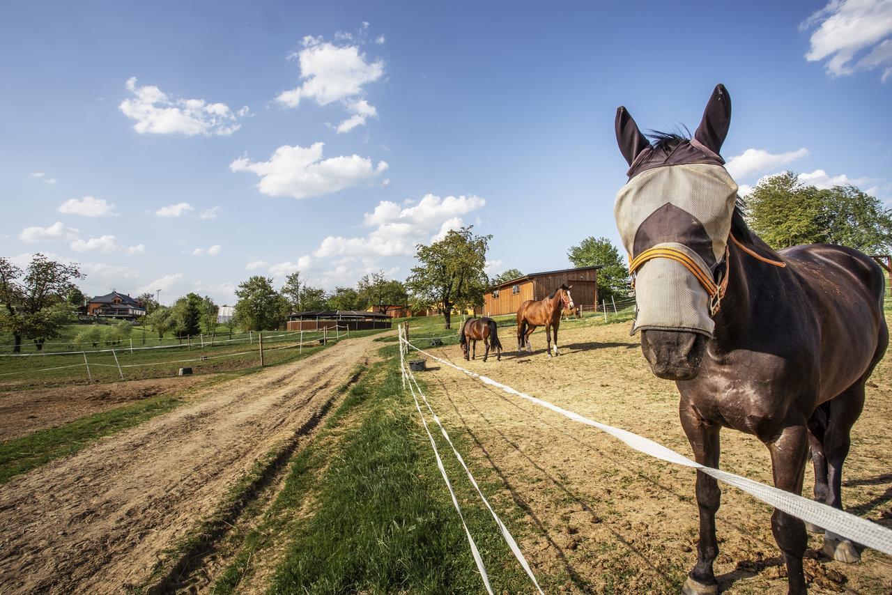 Hotel Horse Riding - Jezdecky Areal Tršice 外观 照片