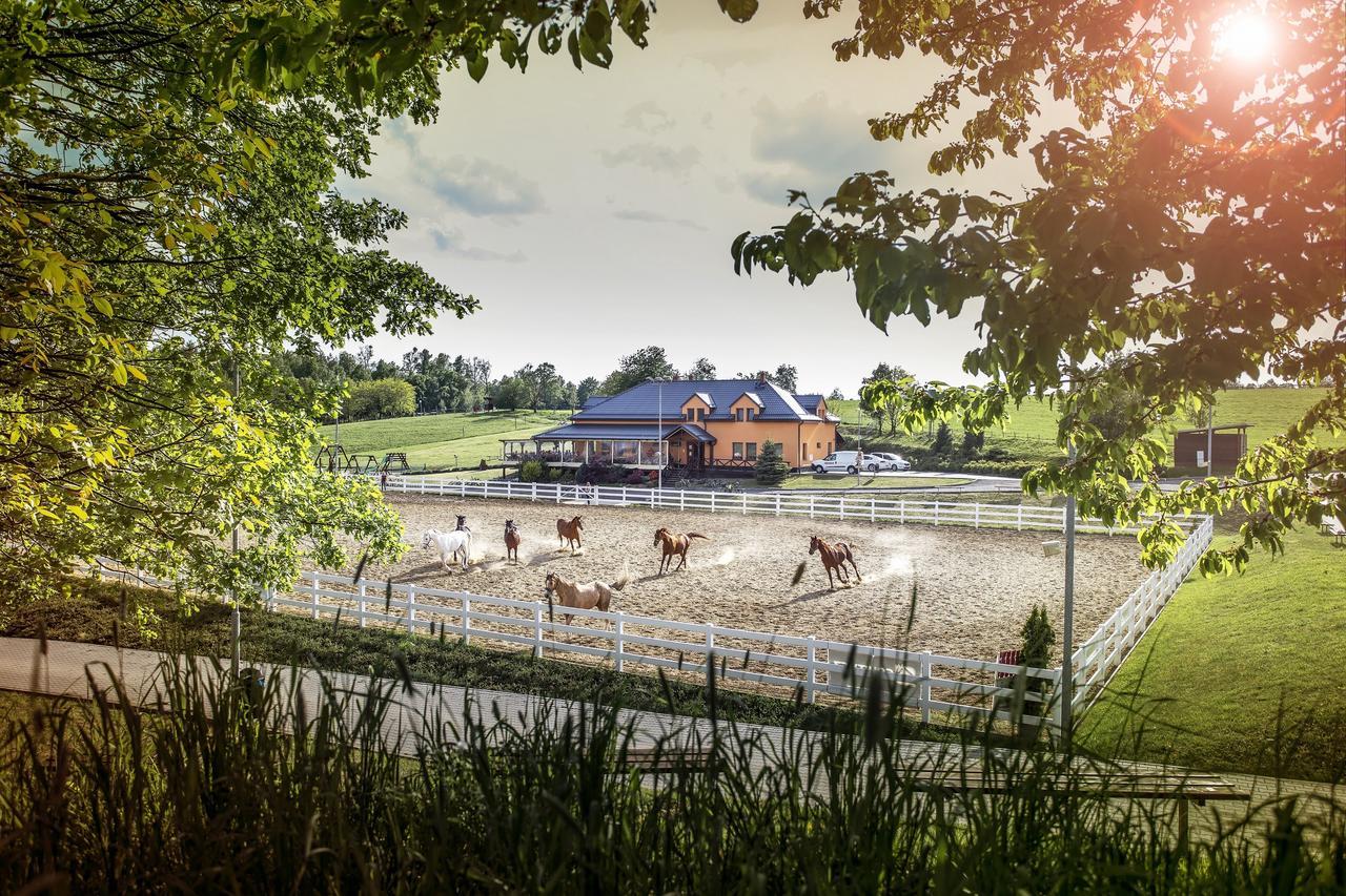 Hotel Horse Riding - Jezdecky Areal Tršice 外观 照片